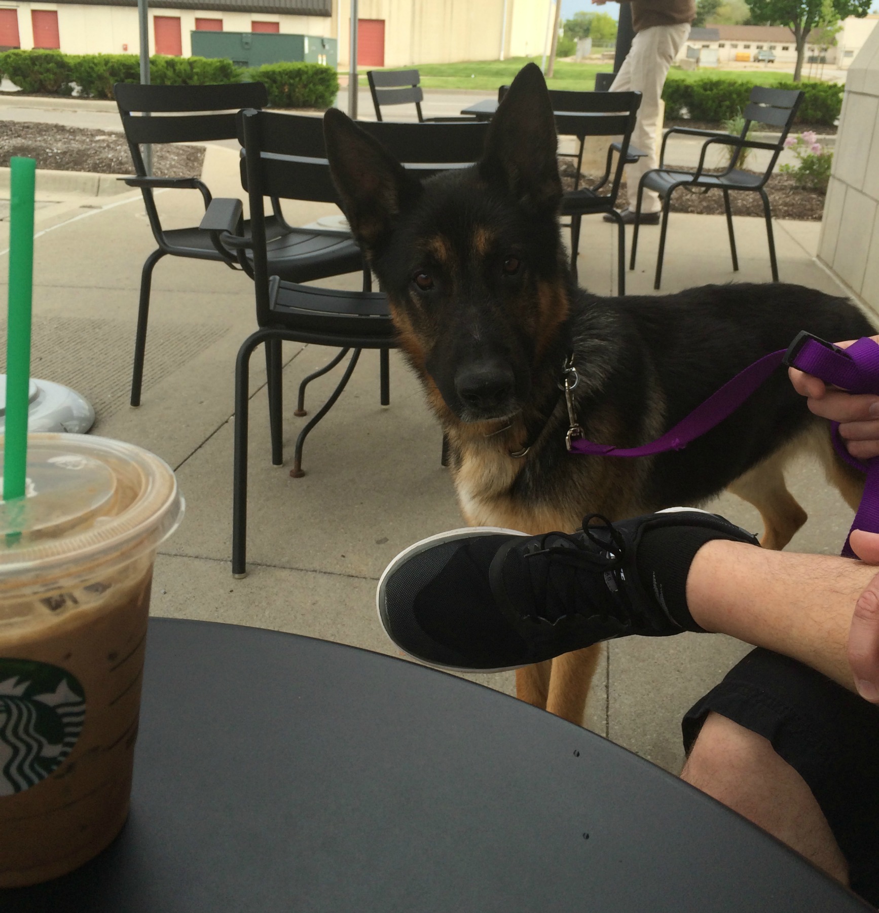 1-1-image-truman-stops-by-Starbucks-after-an-adoption-event.jpg