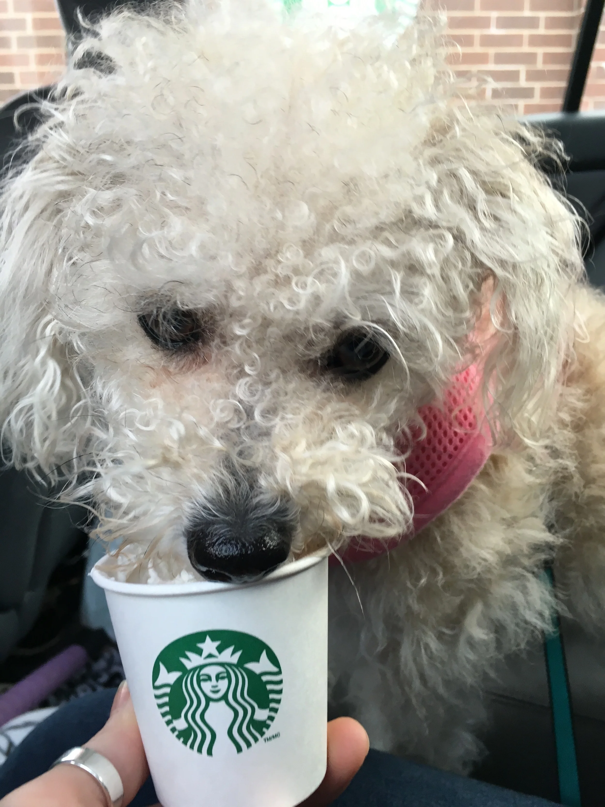 Espresso puts curl in your hair!