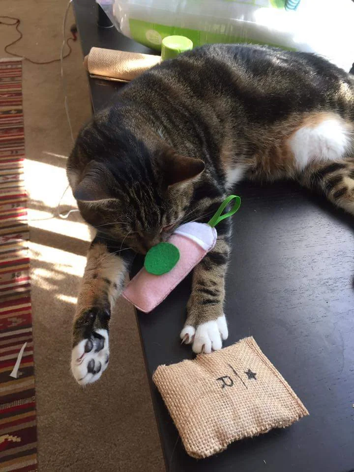 Making Starbucks-inspired home made cat toys!