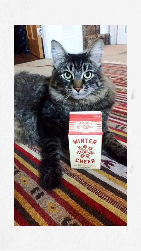 Cosmo likes Stumptown Winter Cheer!