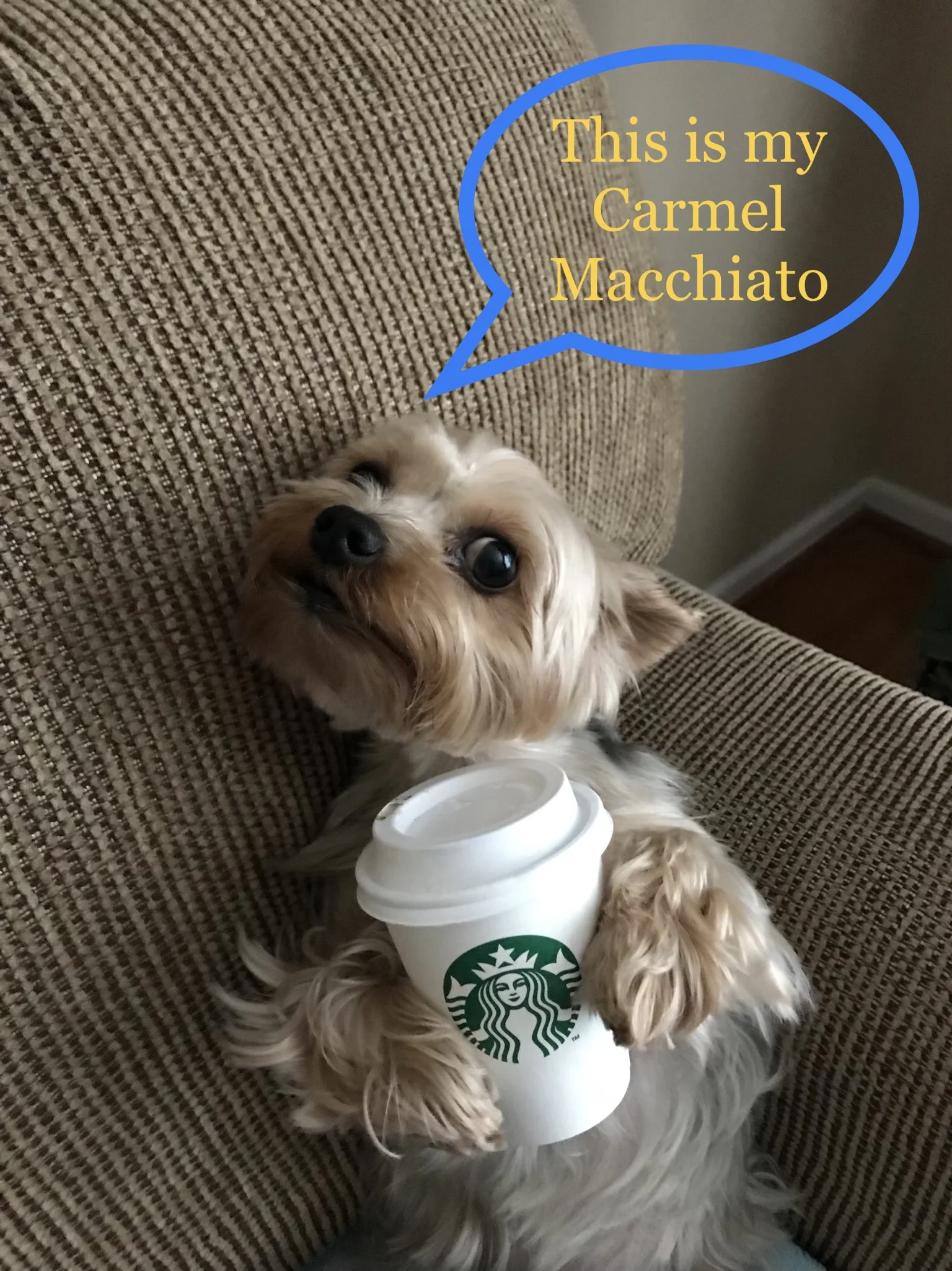 This is my Caramel Macchiato!