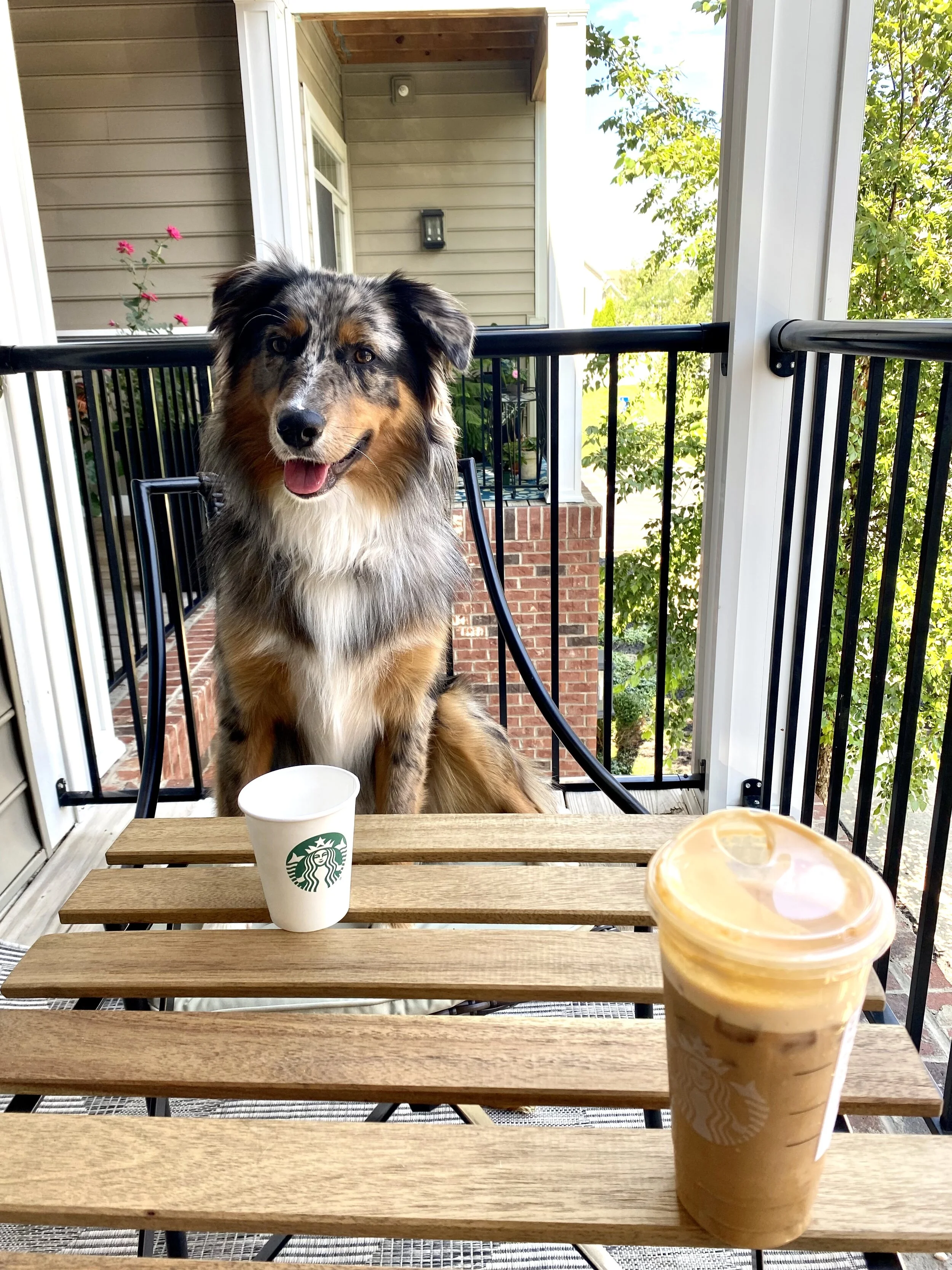 My favorite coffee date!