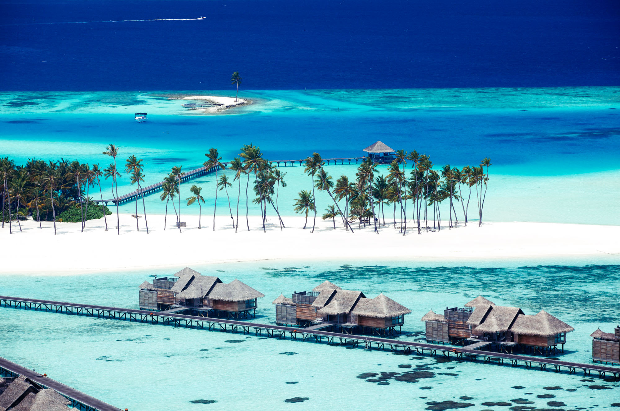 MALDIVES-4.jpg