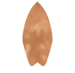 SURFBOARD-COPPER.png