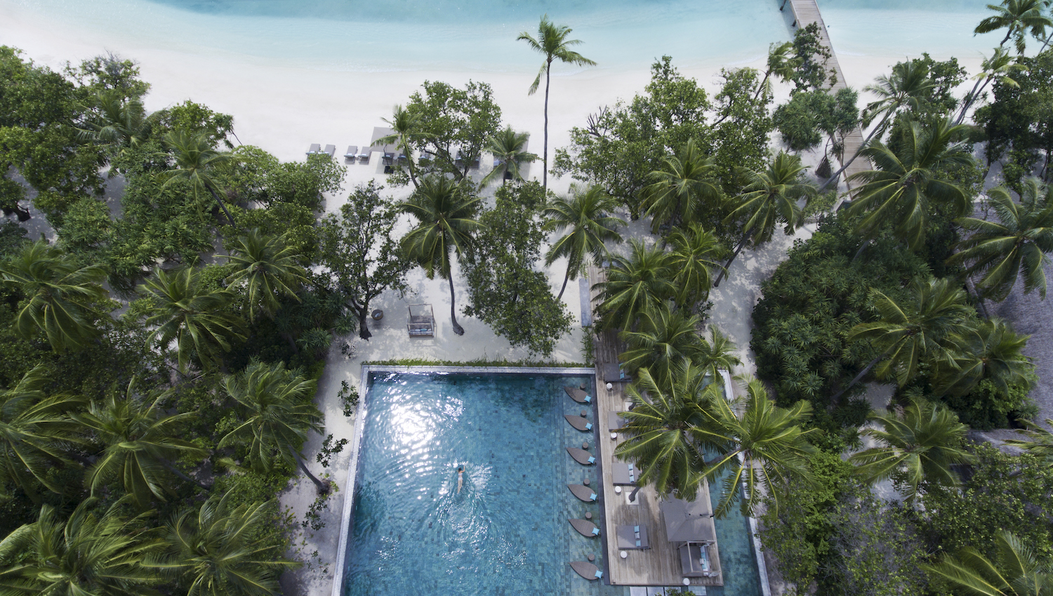 Pool Aerial - Beach copy.jpg