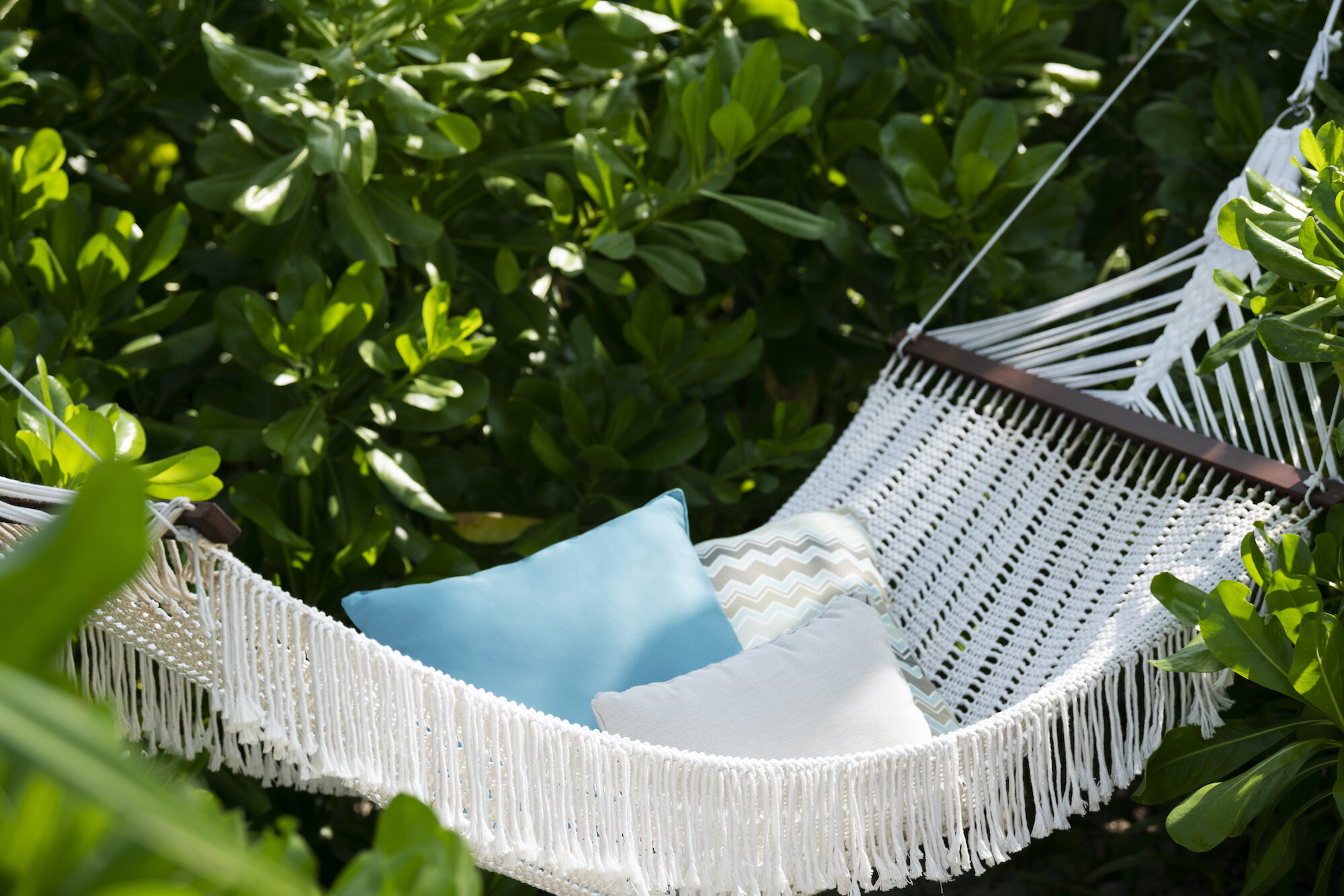 Hammock 2 copy.jpg