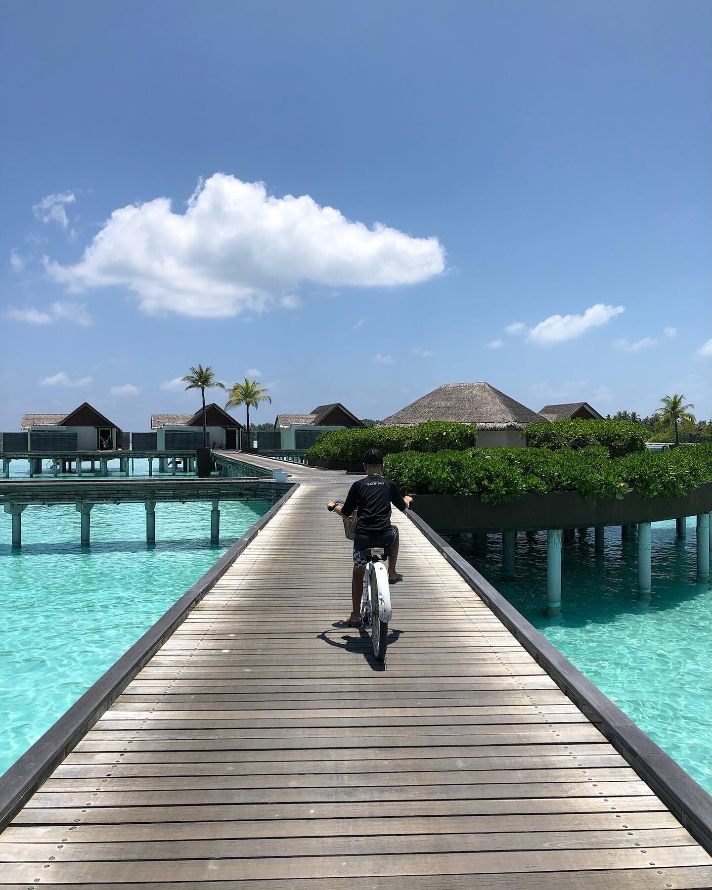 Ready to escape to your dream paradise in the Maldives? ✈️🌴

At @niyamamaldives , a truly dreamy experience awaits you, ready to transport you to another world. 

Chat to our team about bringing your dream holiday to life today like they did for our