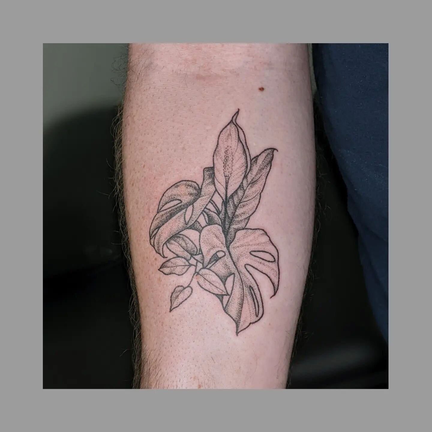 Some pothos for a plant parent by  Lucky Dagger Tattoo  Facebook