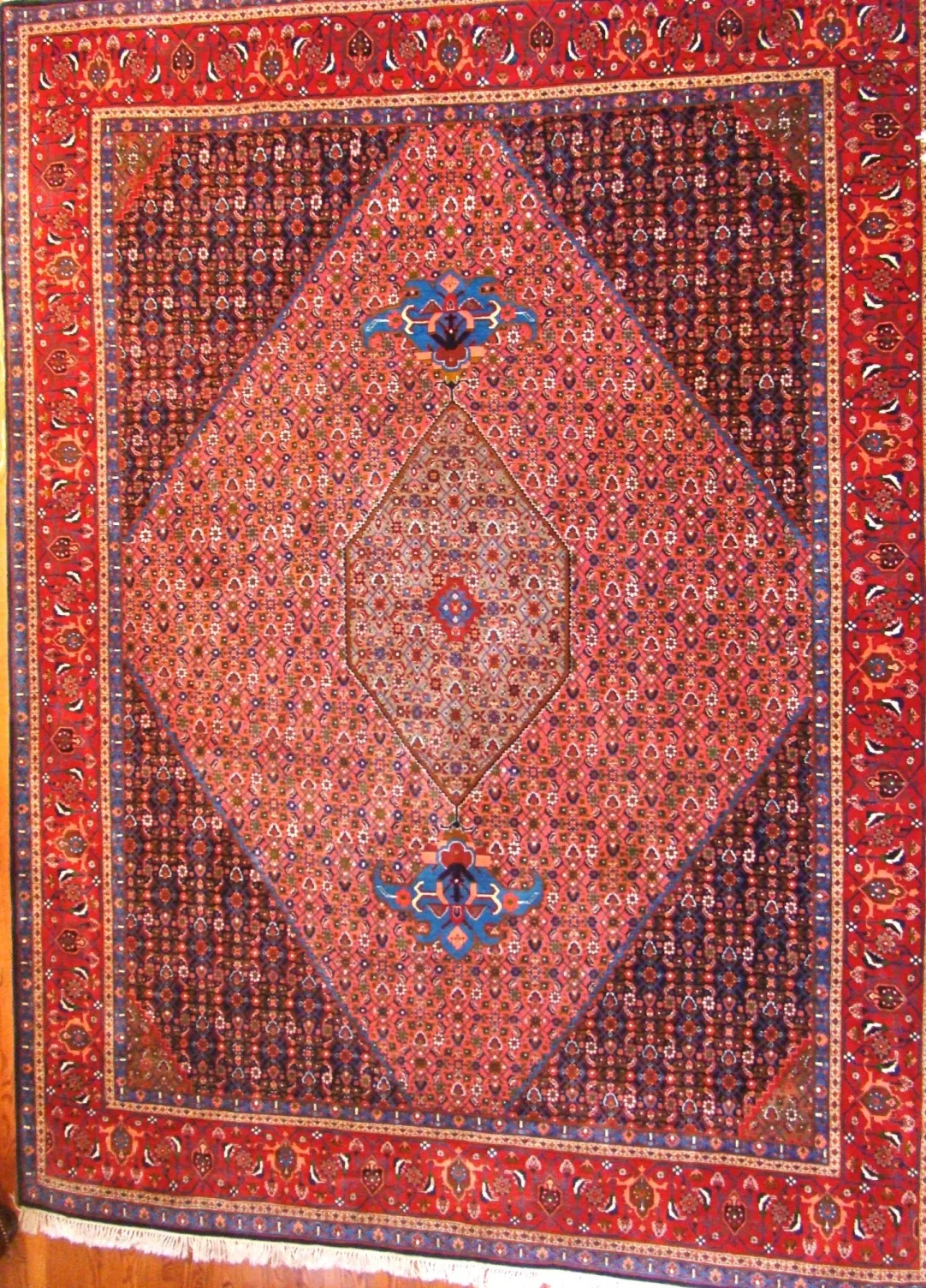 8.1x10.10_tekkentepe_afshar_bijar.jpg