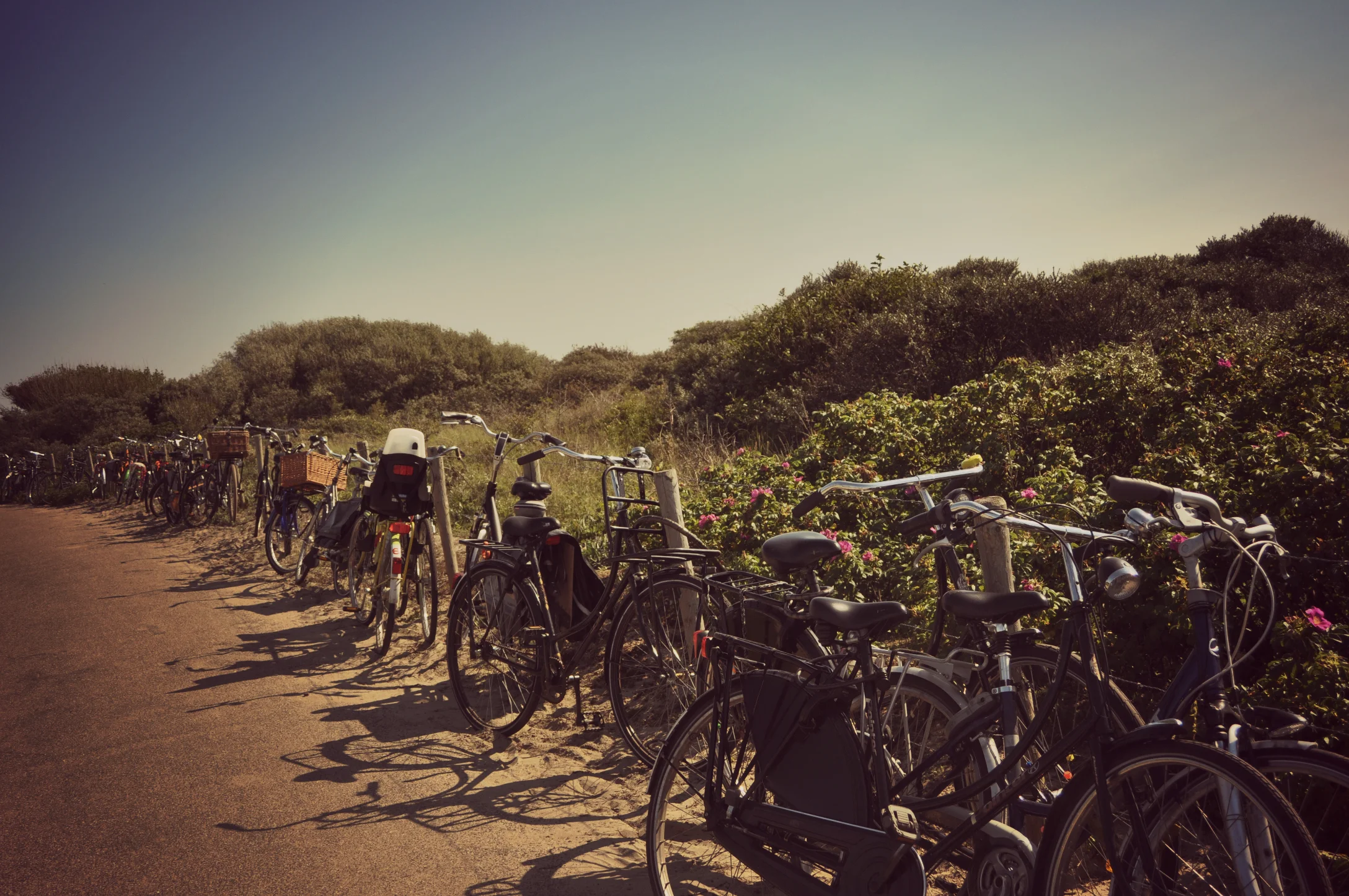 bikes1a.jpg