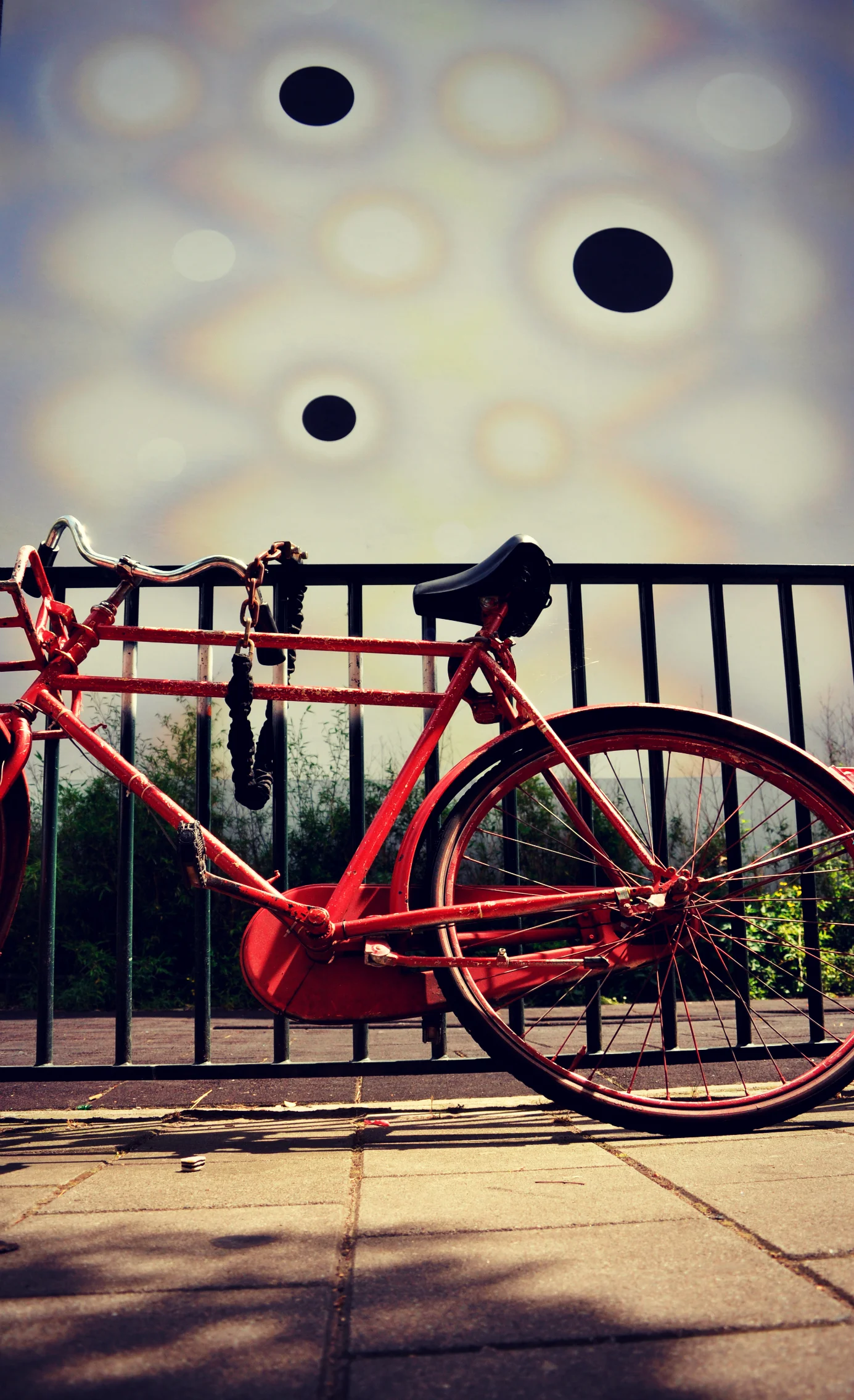 bikes6a.jpg