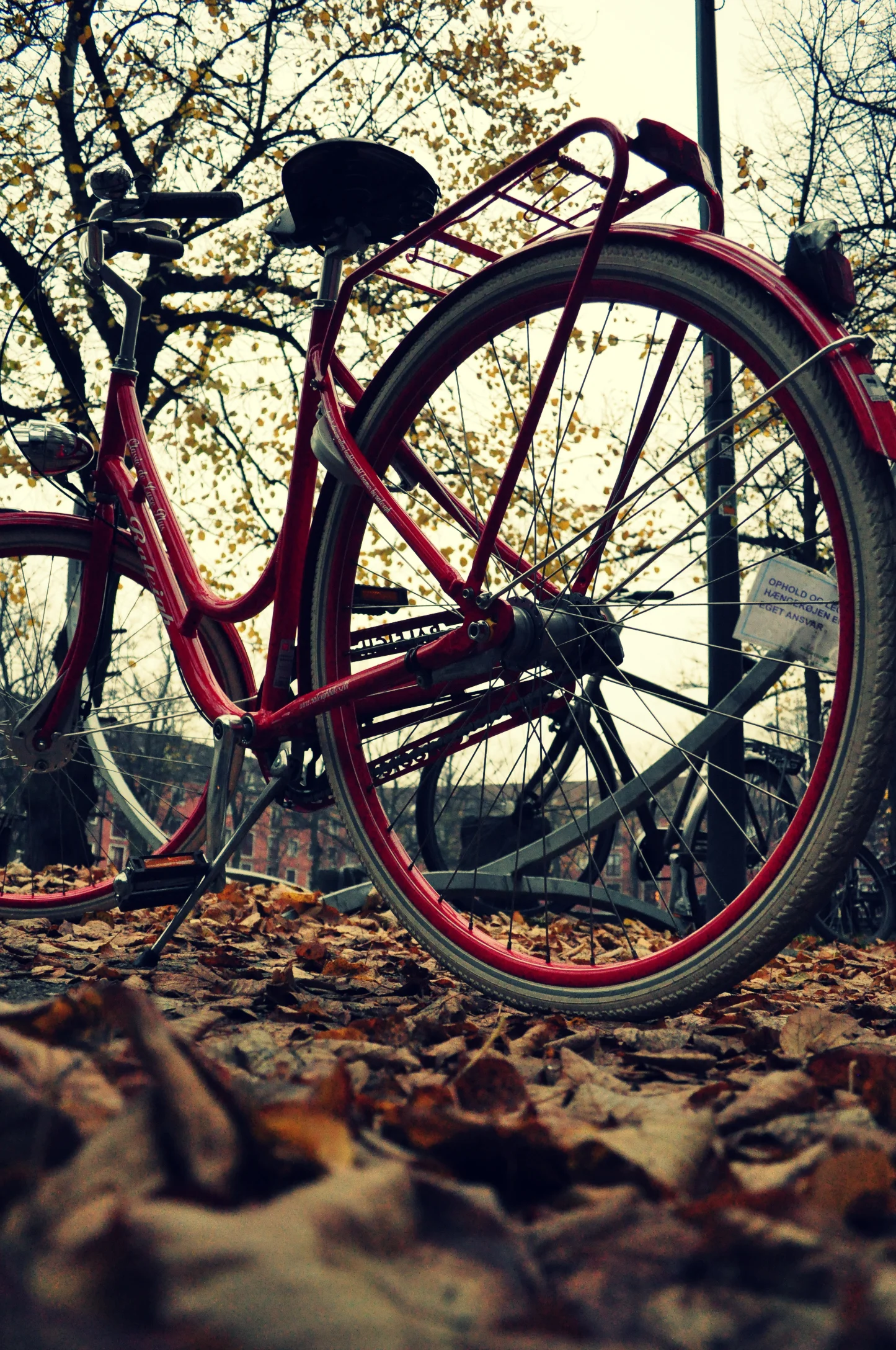 bikes10a.jpg