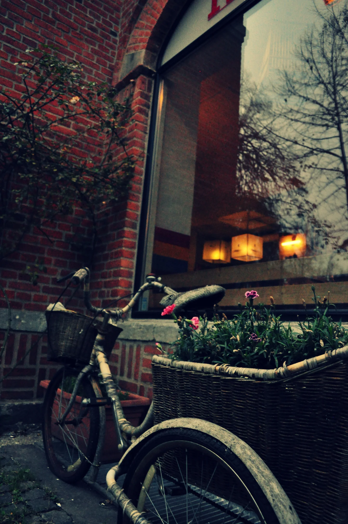 bikes12a.jpg