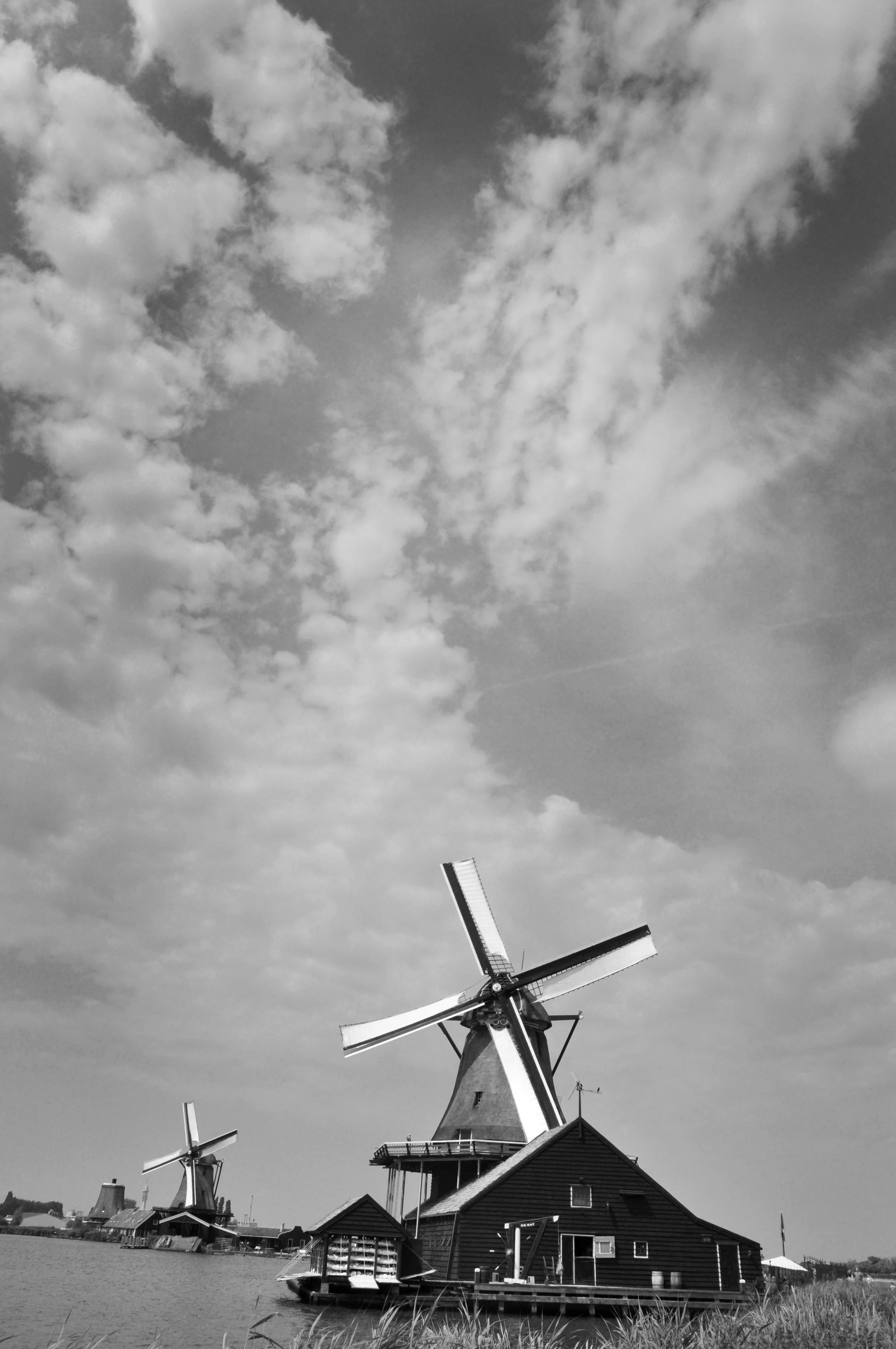 molinos2.jpg