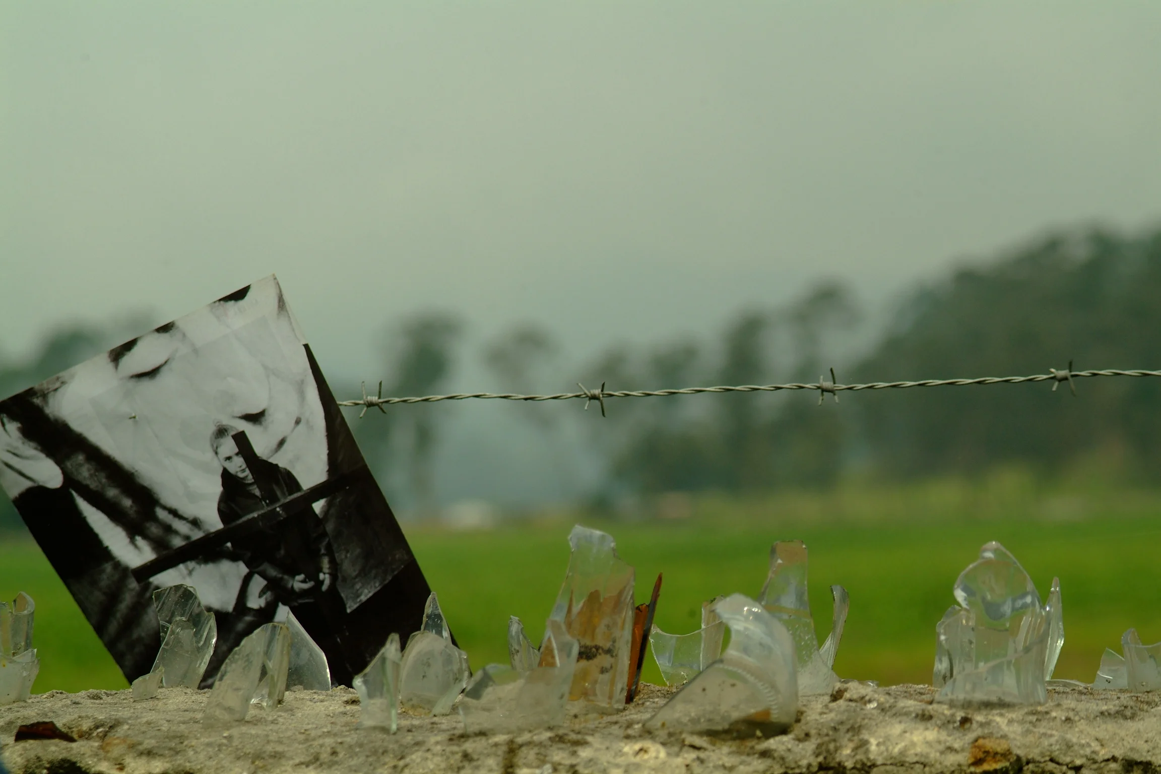 Violencia de género