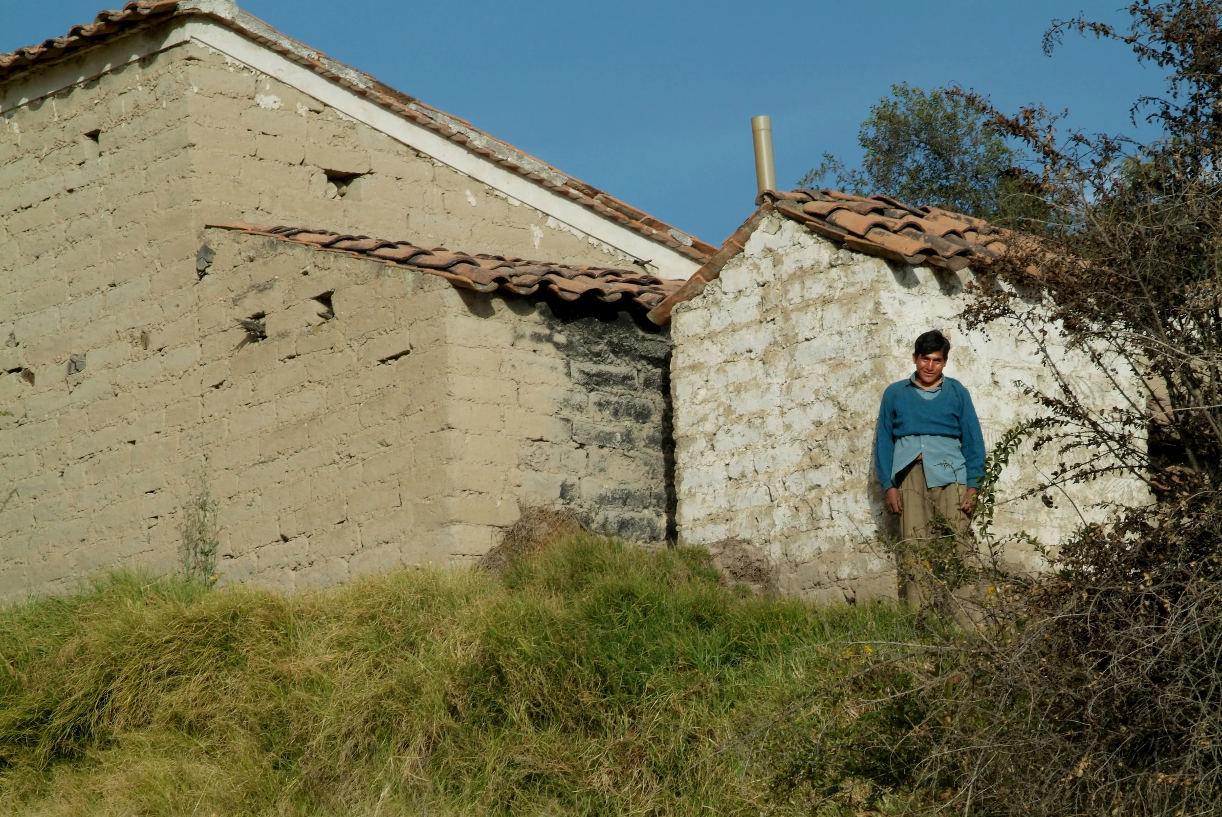 huarca1.jpg
