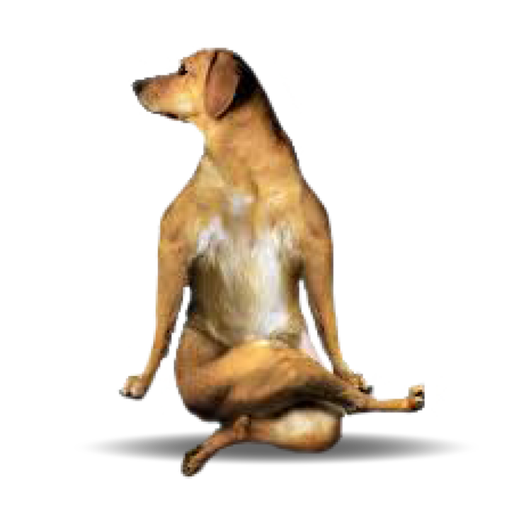 large_xbreed.png