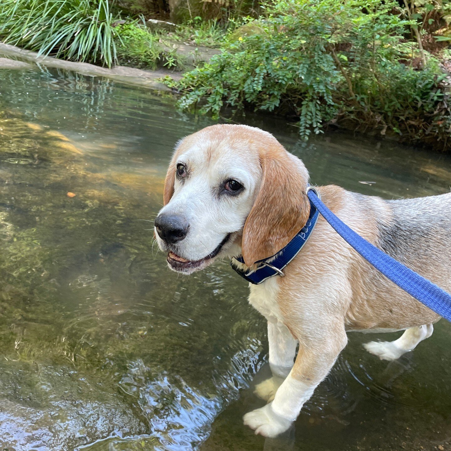 💙Love you little man. BUDDY&rsquo;S family had a freight last week. We all know it&rsquo;s Murphy&rsquo;s law that if we have an emergency its going to happen after hours at a time that is also never expected right?⁠
.⁠
.⁠
.⁠
.⁠
I&rsquo;m a fan of g