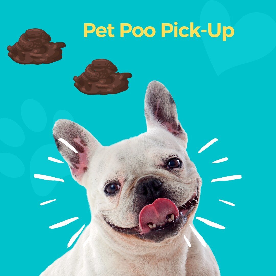 💩Your pets poop&hellip; 💩⁠
1. Local water ways have a high bacteria levels due to contamination from pet waste.⁠
.⁠
.⁠
2. It can take up to 12 mths to fully breakdown.⁠
.⁠
.⁠
3. Kids &amp; anyone who play or work outdoors are at higher risk of catc