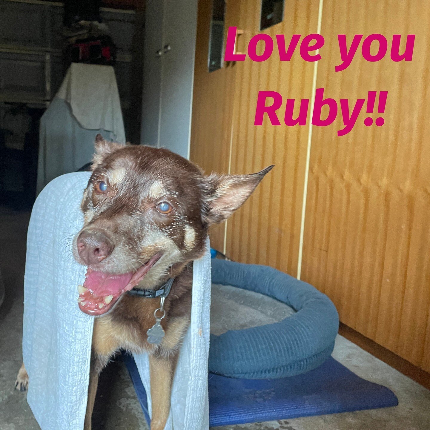 Oh sweety. When we first saw each other after a few years apart you seemed sooo much older. After 12 days together omg darling look at your smile!! xoxox⁠
.⁠
.⁠
We walked rain and shine just 10mins a day to stretch the legs and have a good o&rsquo;l 