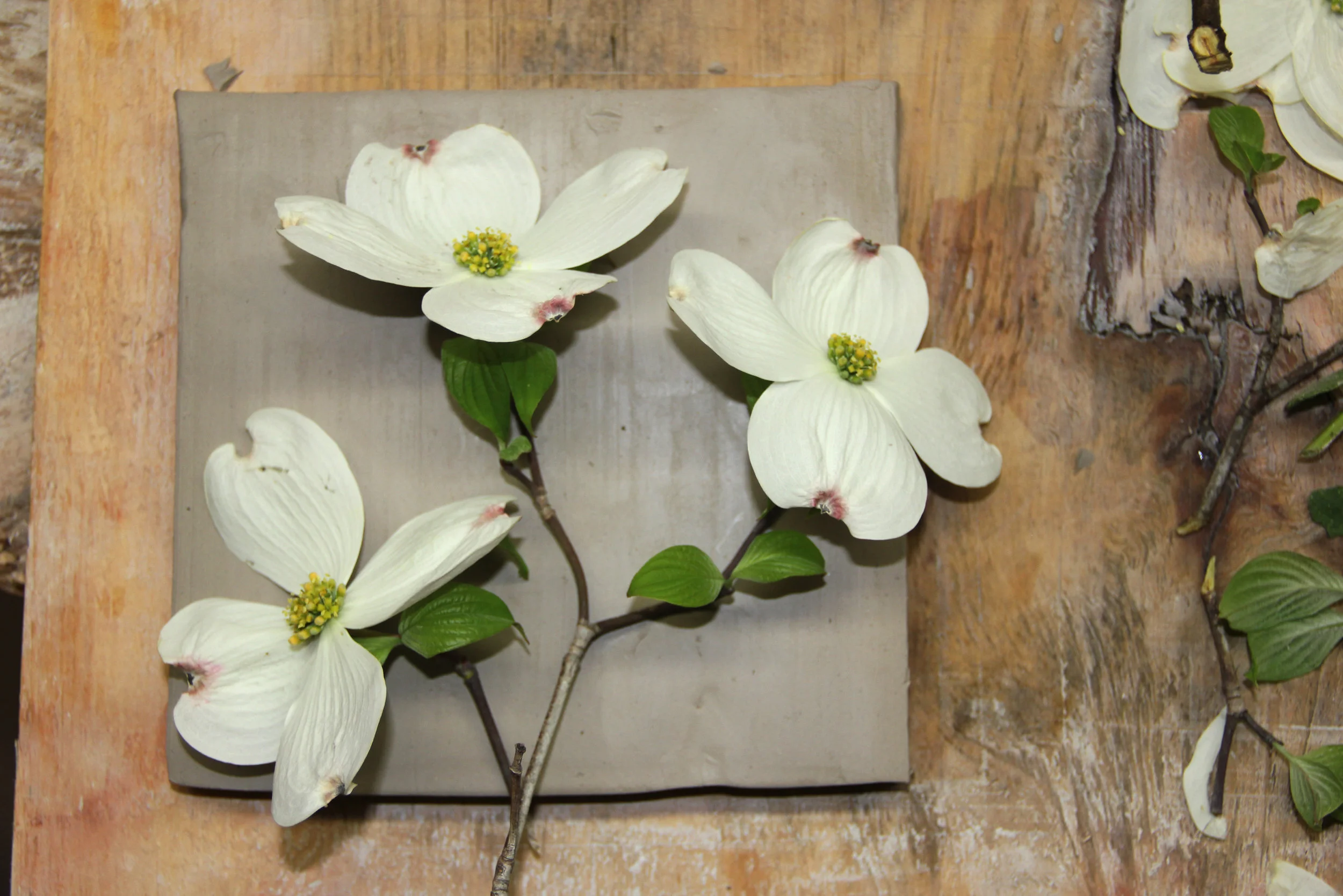 Demo Dogwood printing-sm.jpg