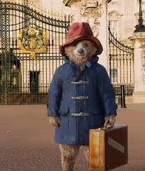 paddington.jpg