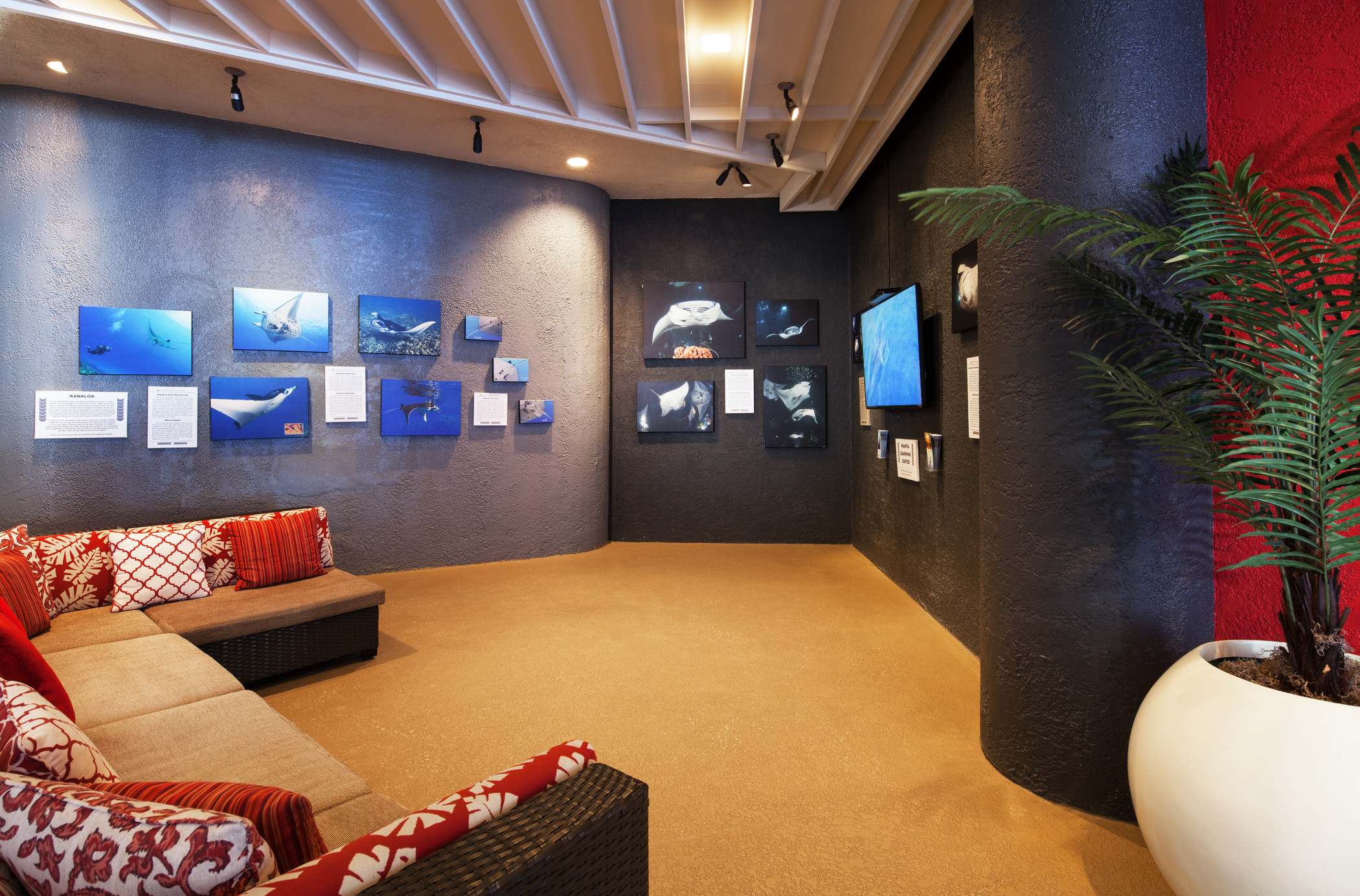 she1469ag-180248-Manta Ray Learning Center.jpg