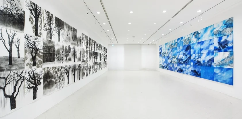 2014 Nature DMZ/ Installation view