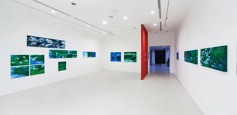 2014 Nature DMZ/ Installation view