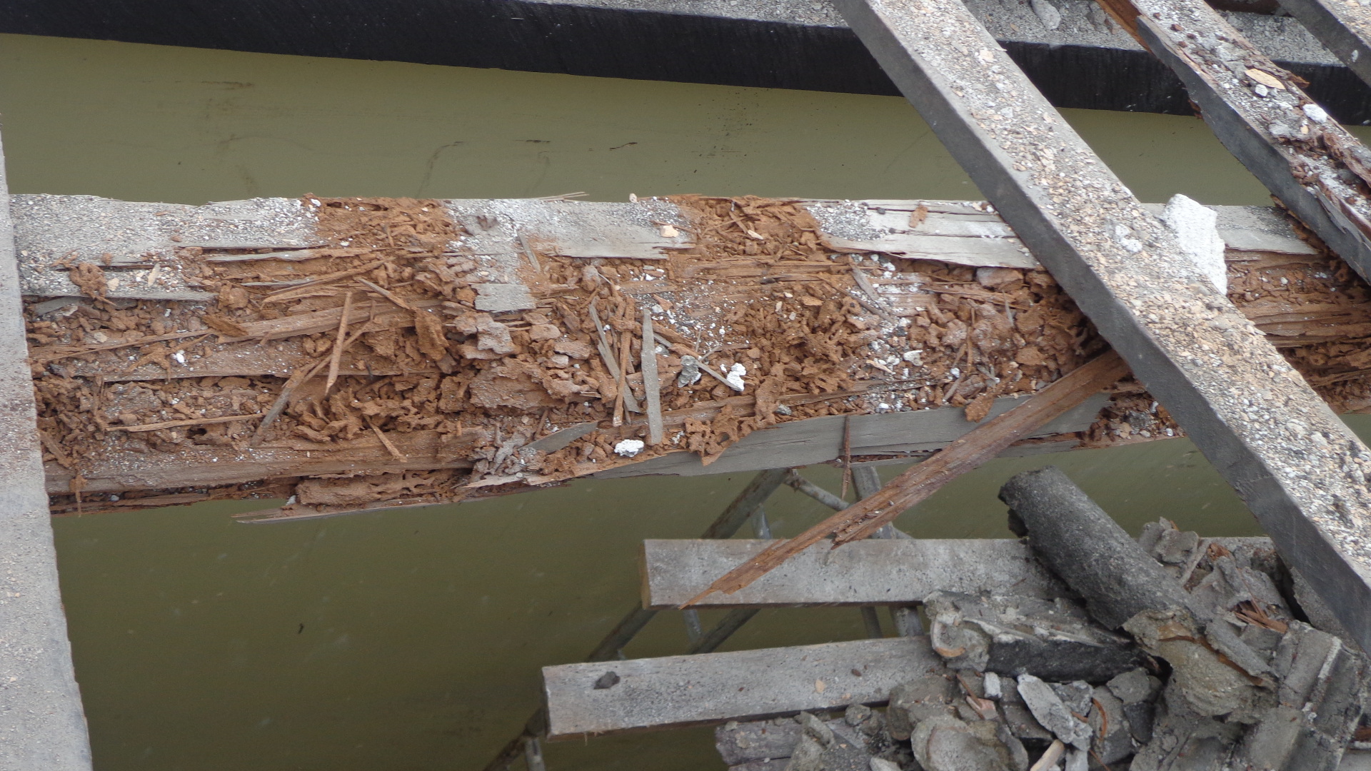  Joists for the roof had termite damage 