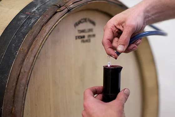 Be a Winemaker for a Day