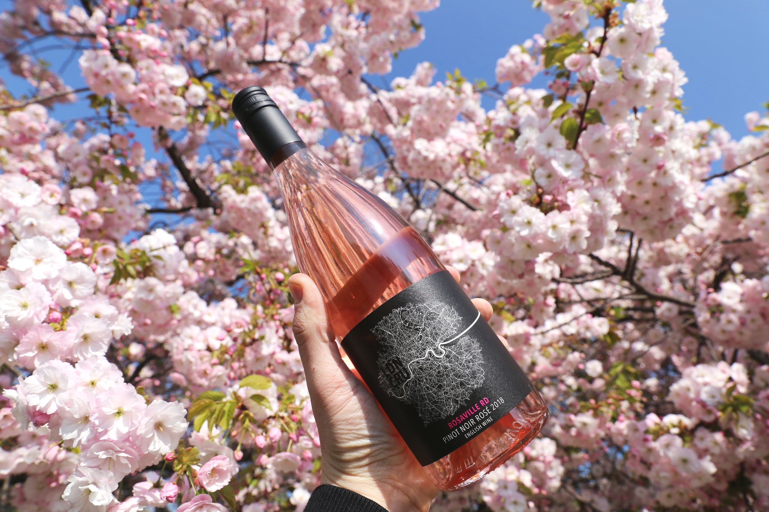 The perfect Spring wine