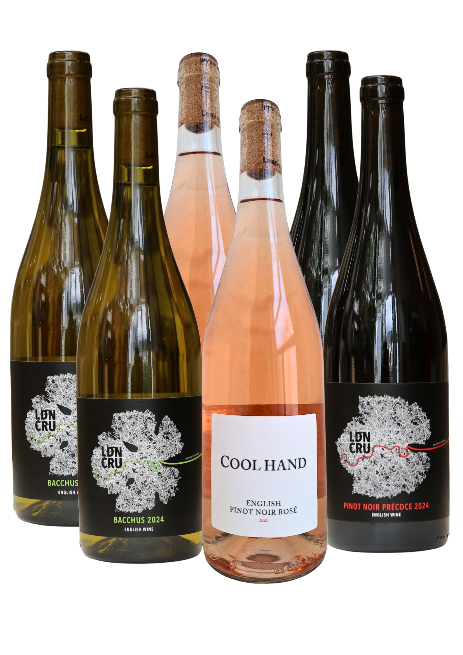 Summertime Mixed Case Float (1).png