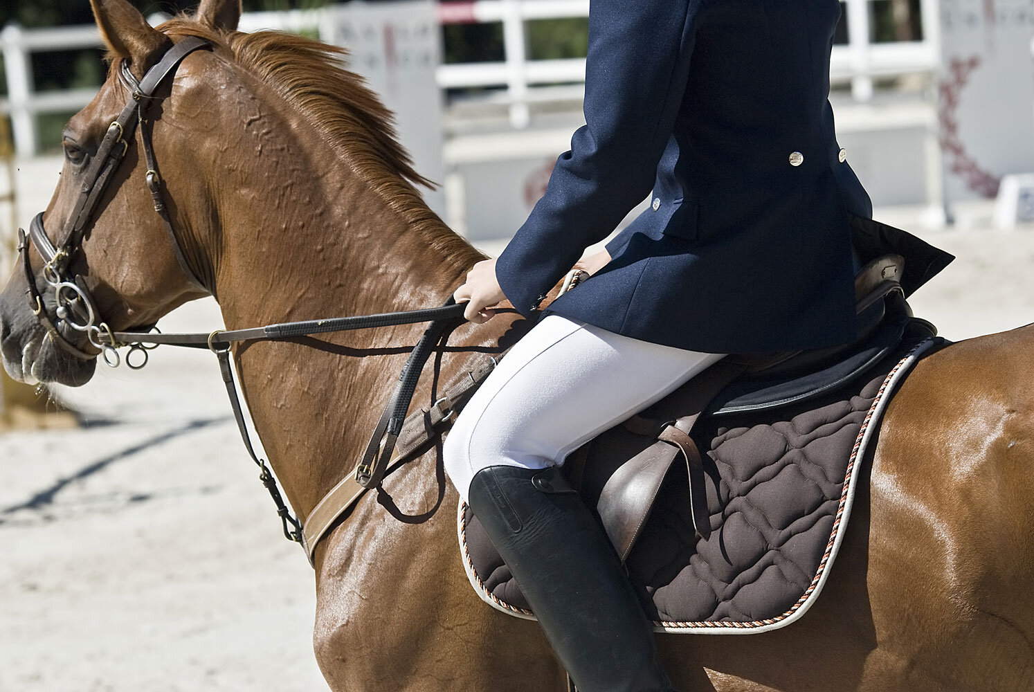 Equestrian Clothing &amp; Accessories