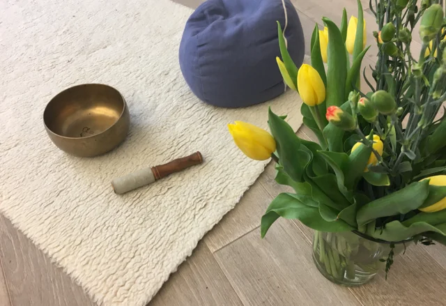 Mind the Body - Achtsamkeit und Körperarbeit im Schwarzwald