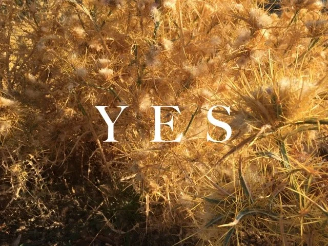 ACT leben - ACT vertiefen: Supervisions-Jahresgruppe 2026 online