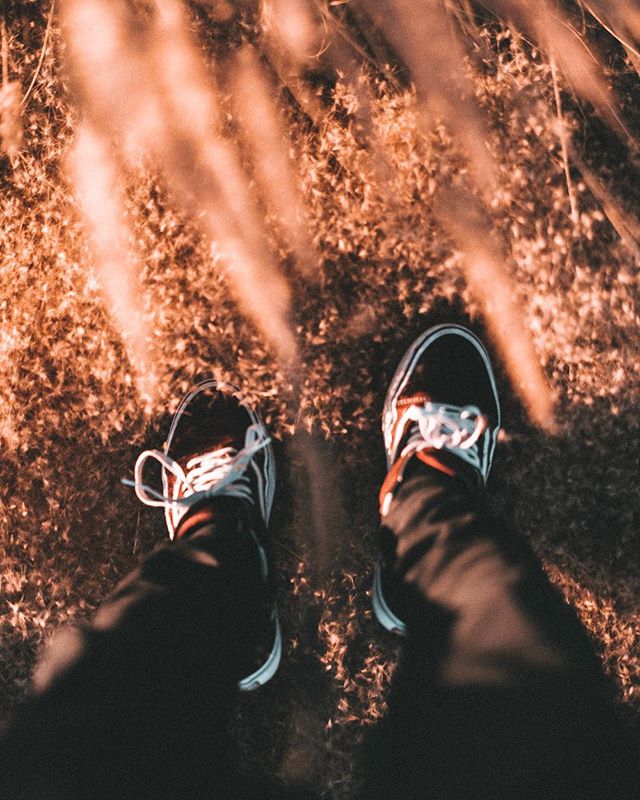 👟 👟