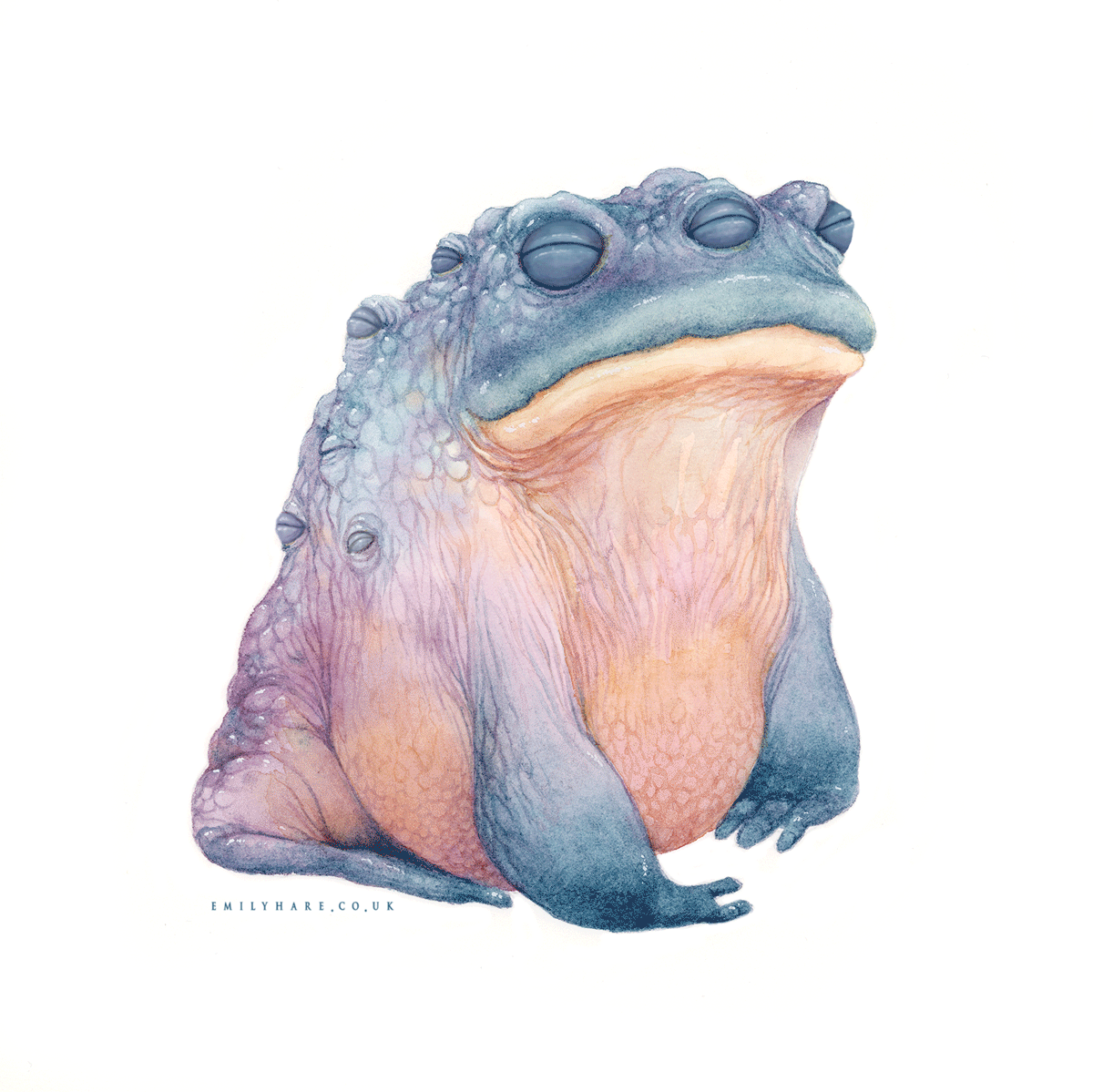 Englebert.gif