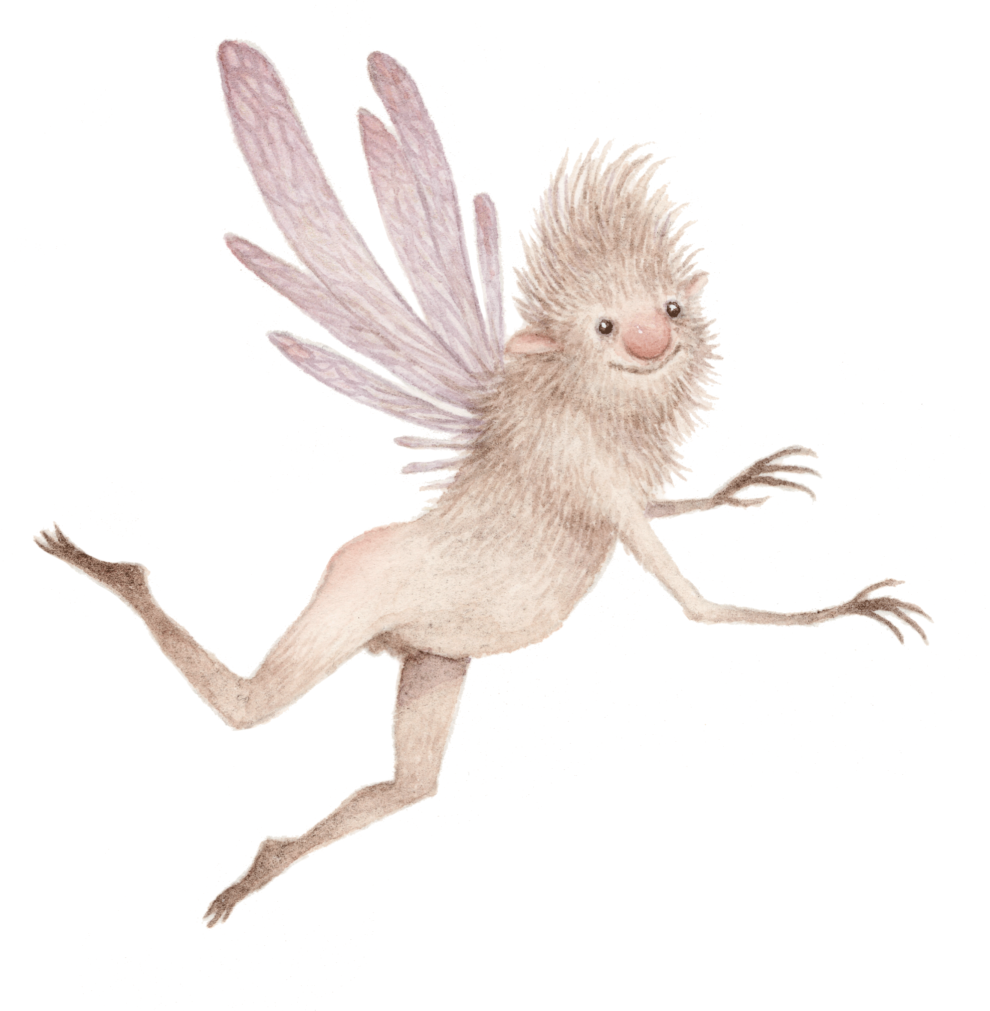 Imp-large-no-sig.gif