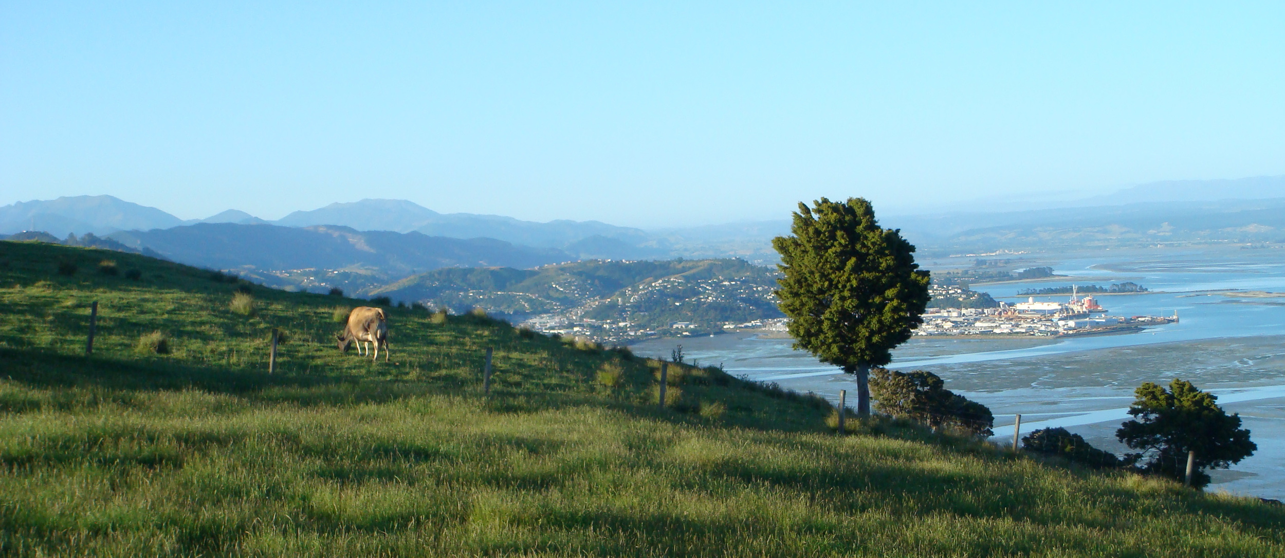 Home header.jpg
