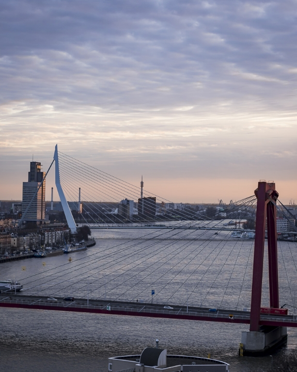 LONDONLANDMARKSWEB-10.jpg