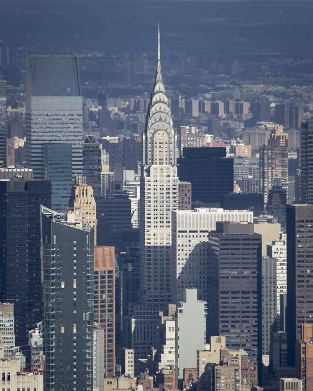 nycWEB-4.jpg