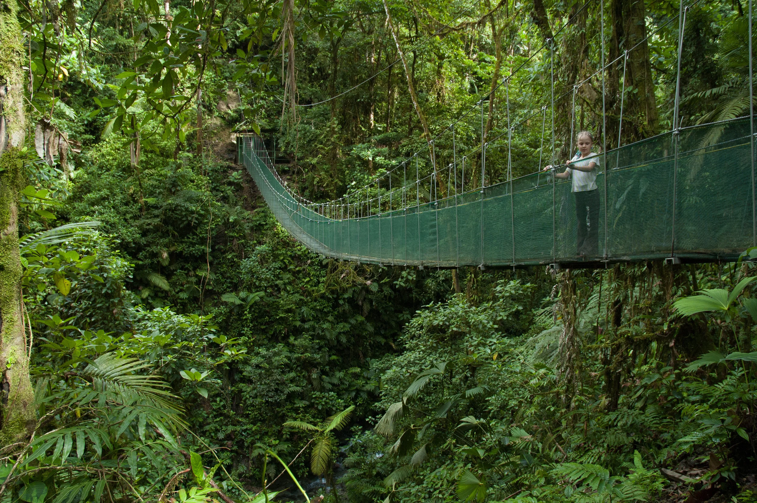Kids Saving the Rainforest