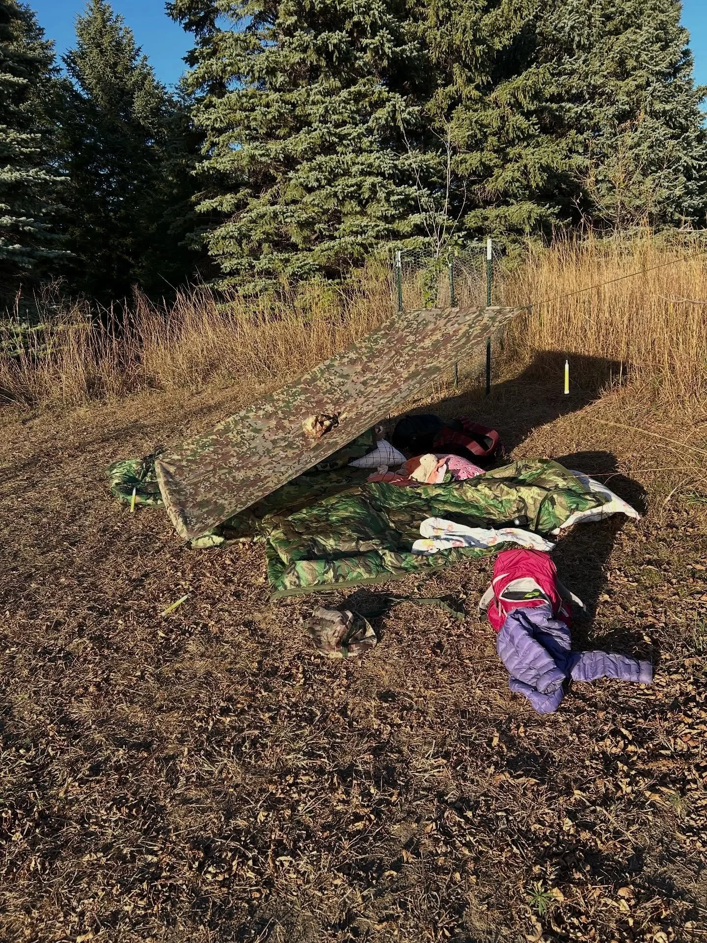 Take the family camping, practice field craft