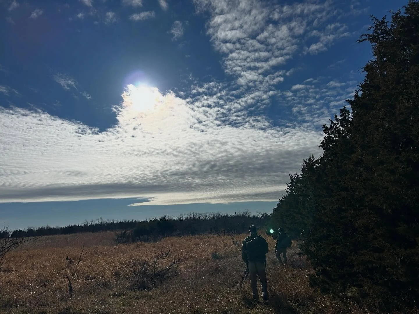 Weather was unseasonably warm