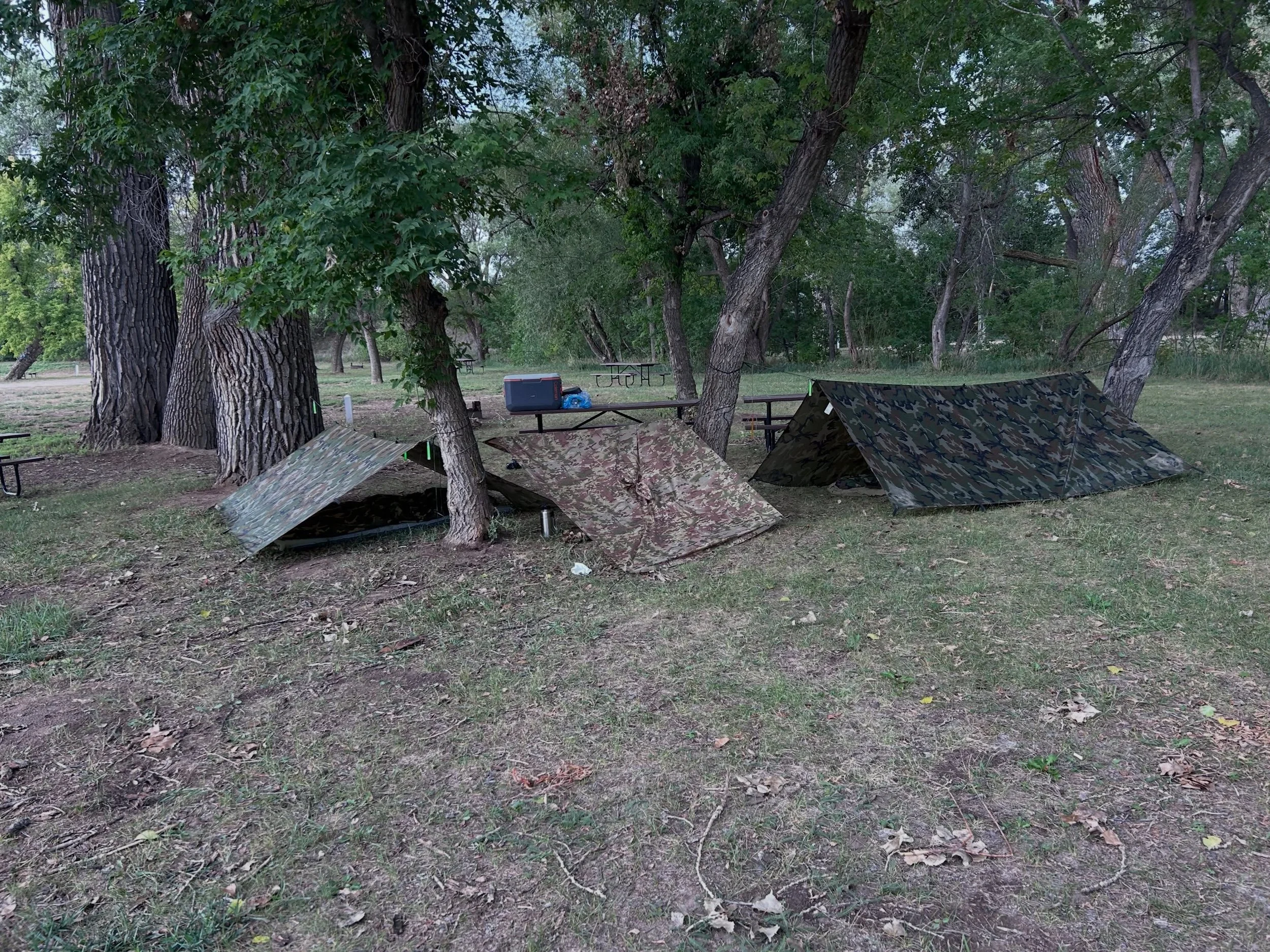 Took the family car camping to a campsite and we got hit with a monster thunderstorm. We survived pretty well under our tarps and in our bivy bags. 

I am not a skilled bushcraft person, but a little bit of understanding goes a long way, it saved us 