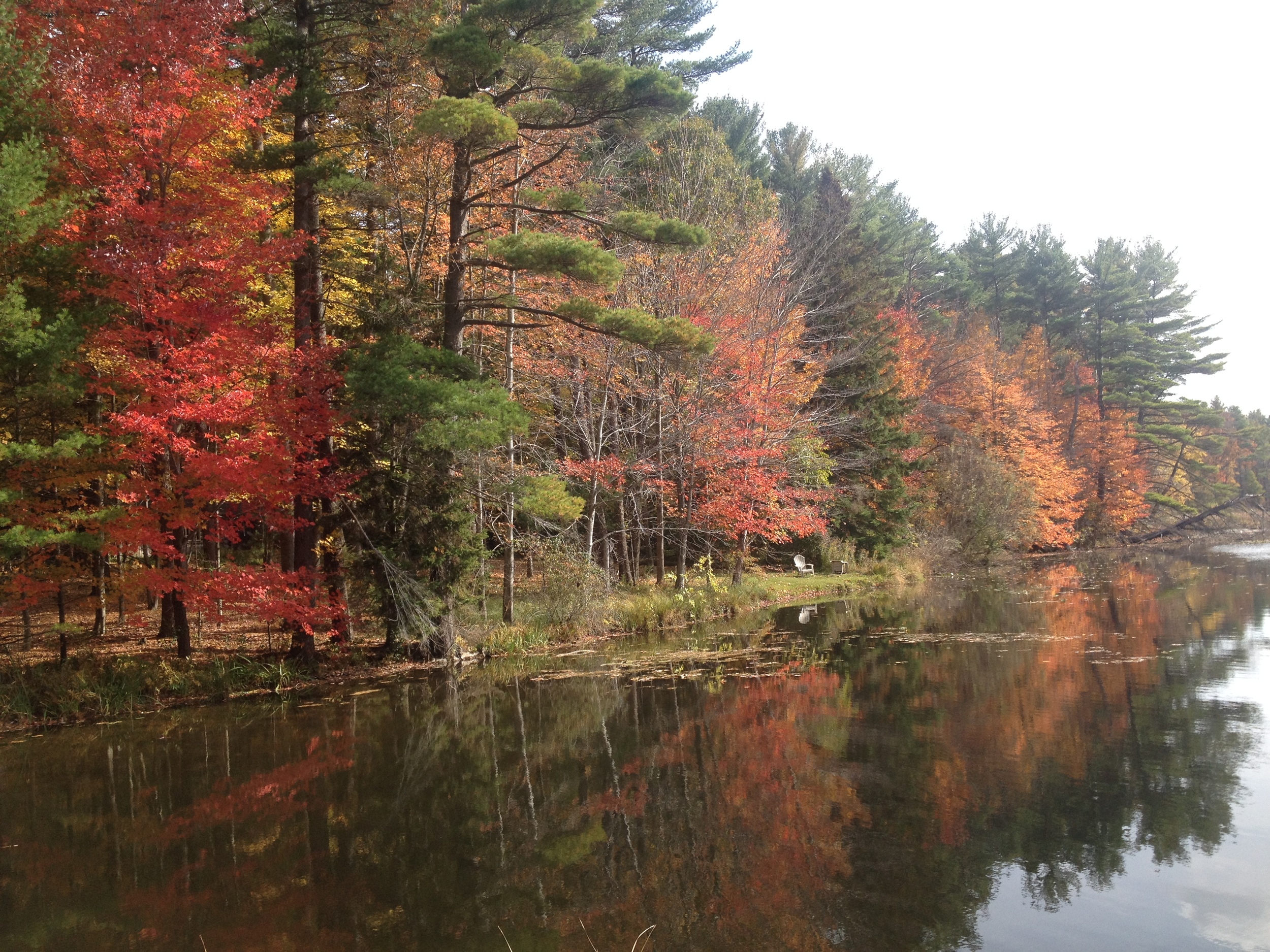 Fall Colours.jpg