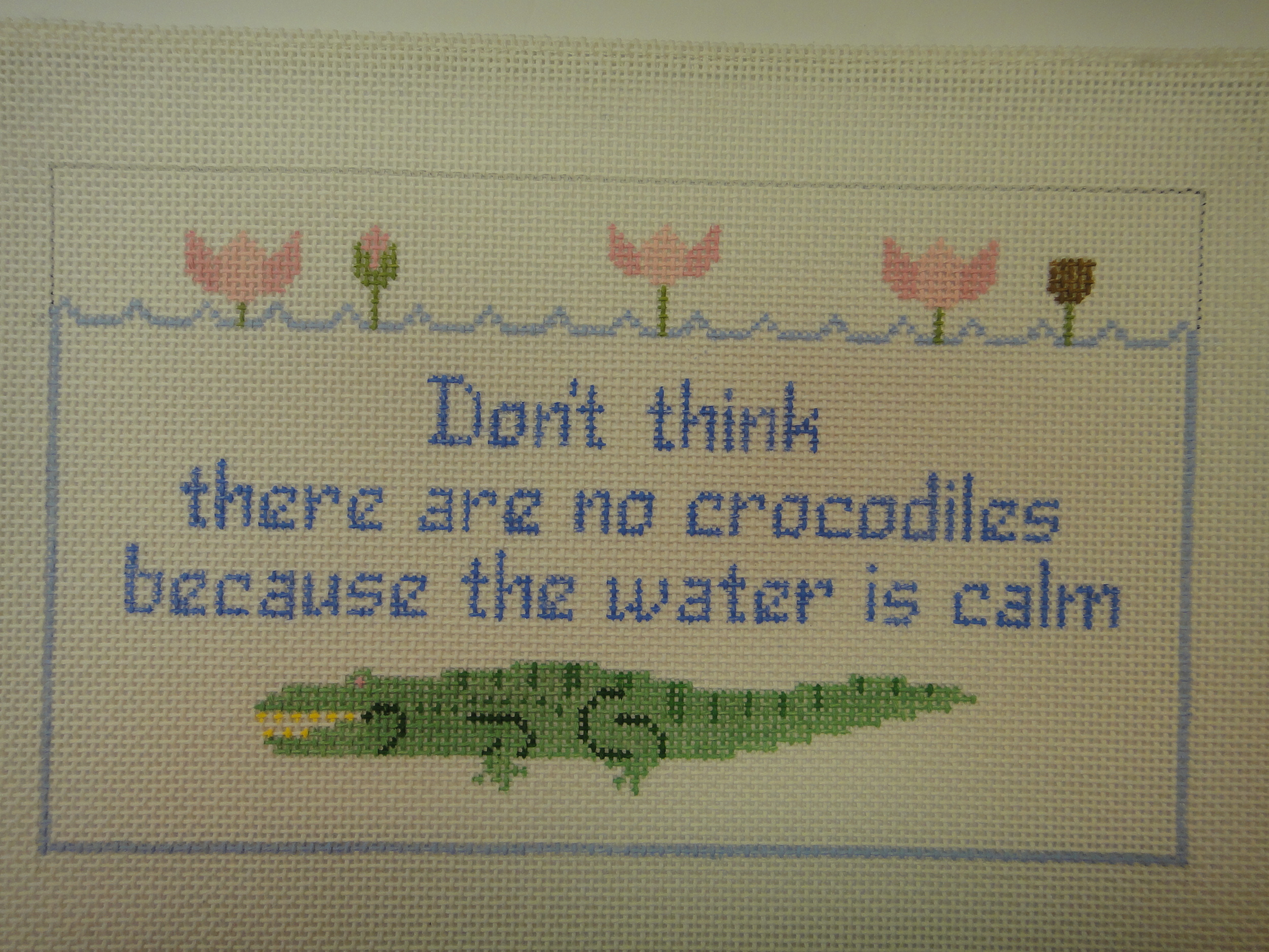 S41 No Crocodiles? (10x6)