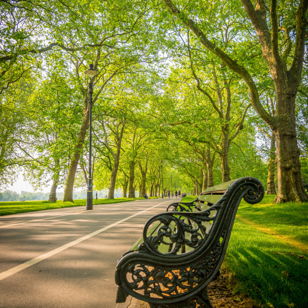 London Trees: Could They Be The City’s Green Aircon?