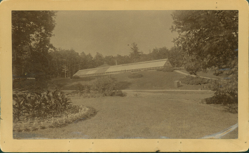 Lost: The Stonehurst Greenhouse (Ernest Bowditch, 1882, demolished)